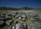Magnes
