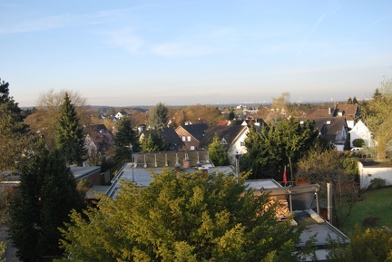 DSC 0346