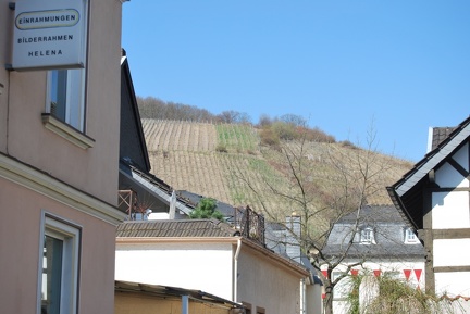 DSC 0370